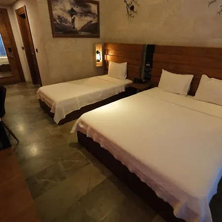 Hotel Kosa