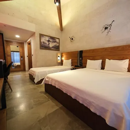 Hotel Kosa